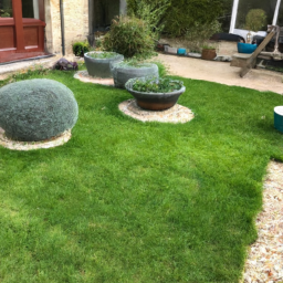 Techniques de taille pour maintenir un jardin esthétique et en bonne santé Nogent-sur-Marne